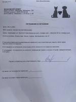 Евгений Костин, изображение к комментарию.